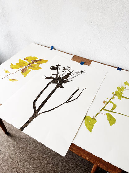 Original Botanical Watercolor