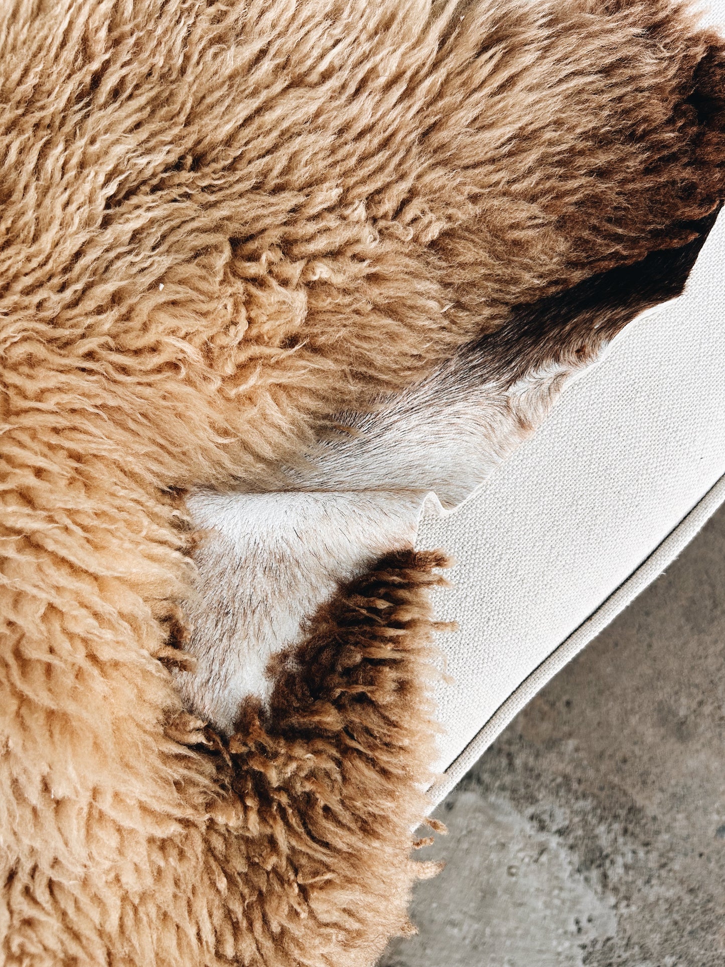 Authentic Vintage Sheepskin
