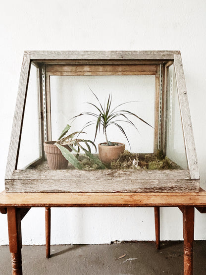Antique Display Case