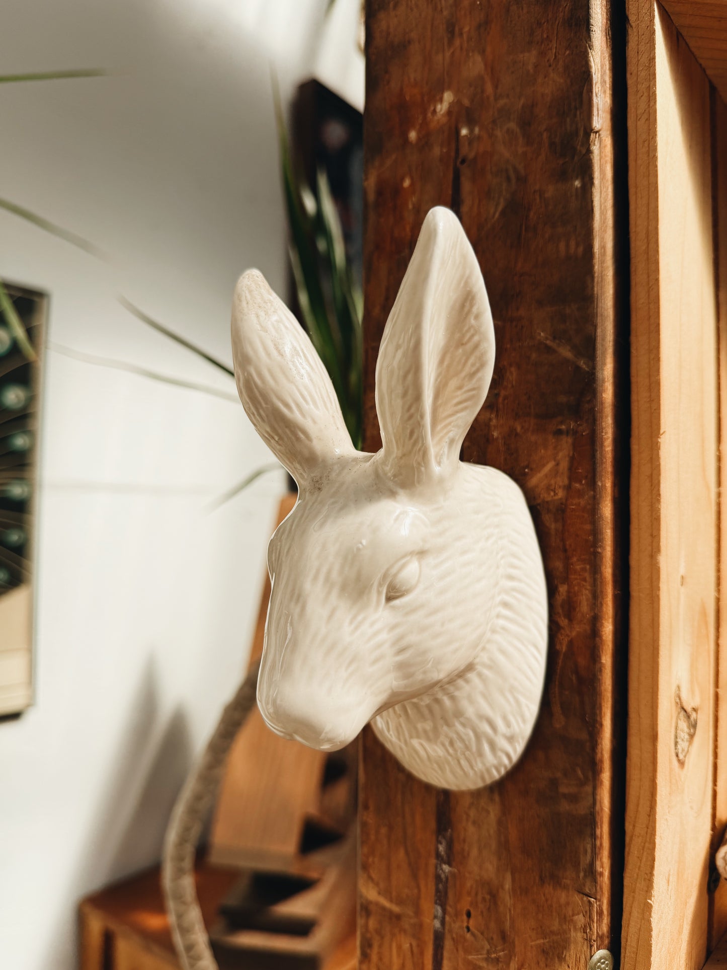 Ceramic Creature  Wall Vase or Planter