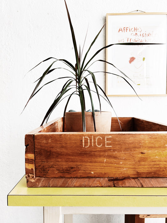 Wood Cribbage  ‘Dice’ Box