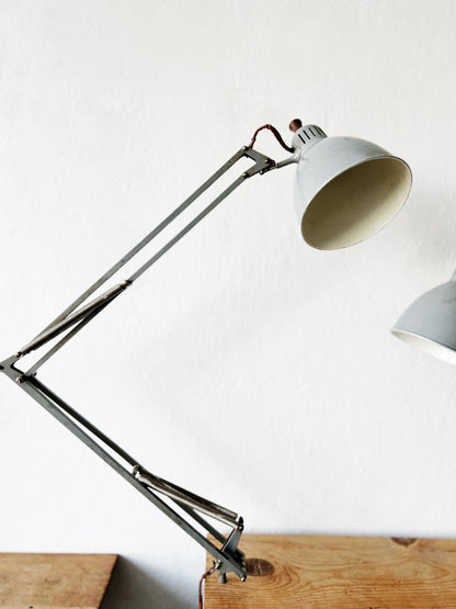 Matching XL Early Luxo Anglepoise Lamps