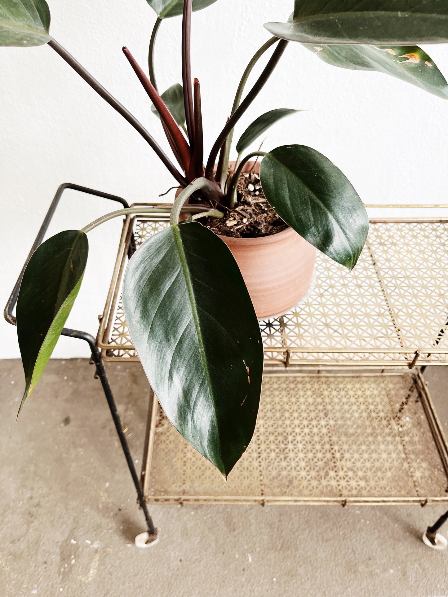 Vintage Mesh Cart