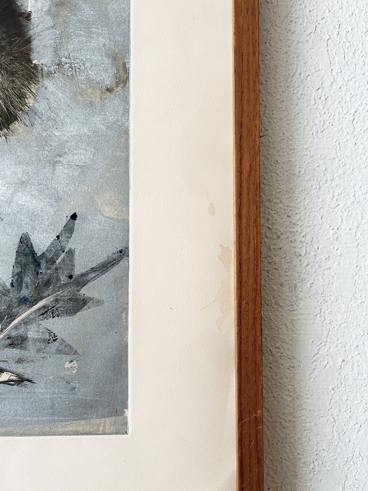 Large Vintage Botanical Etching