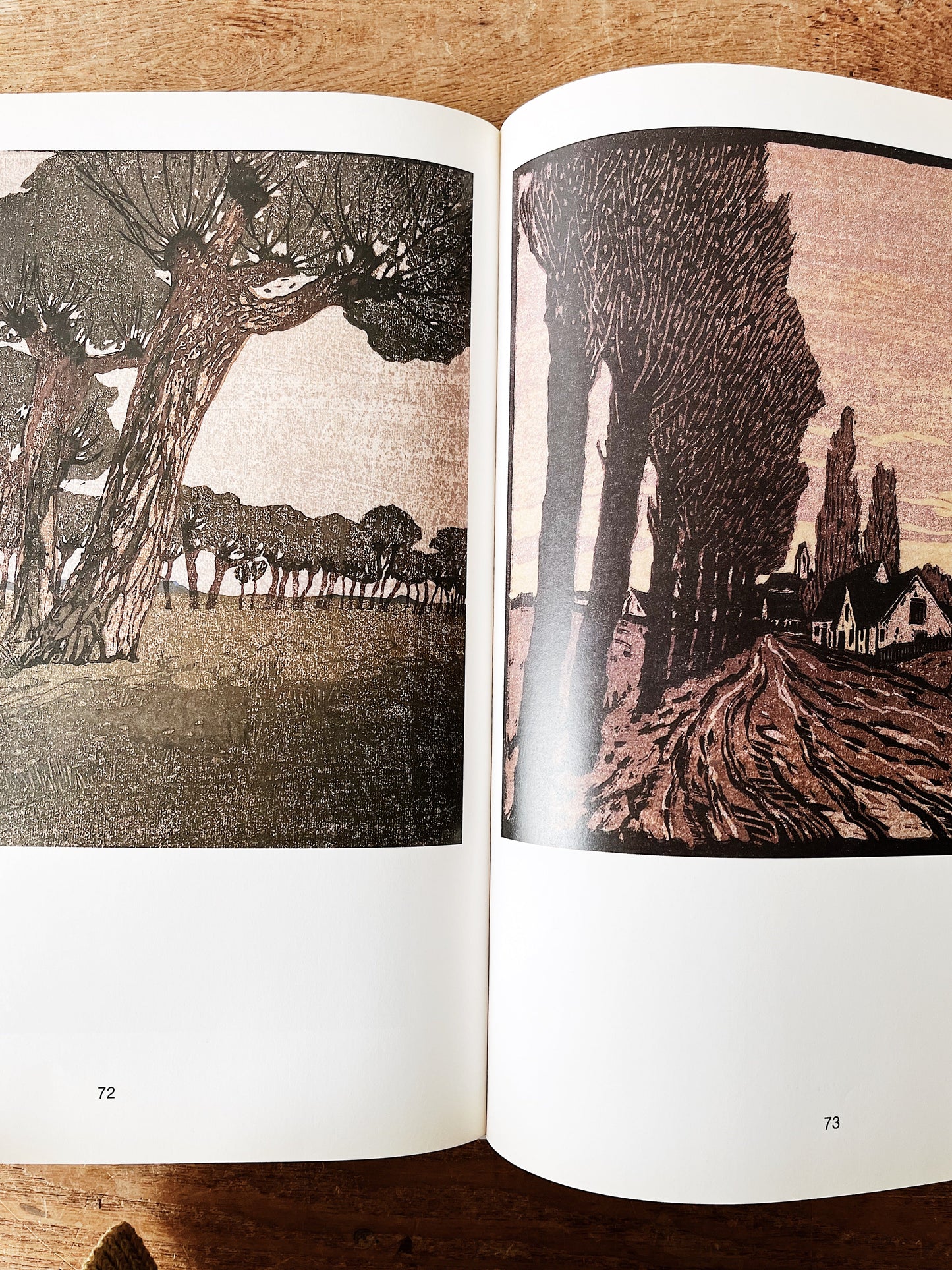 Vintage Woodcuts Art Book