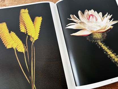 Botanica Magnifica Large Format Hard Cover Art Book
