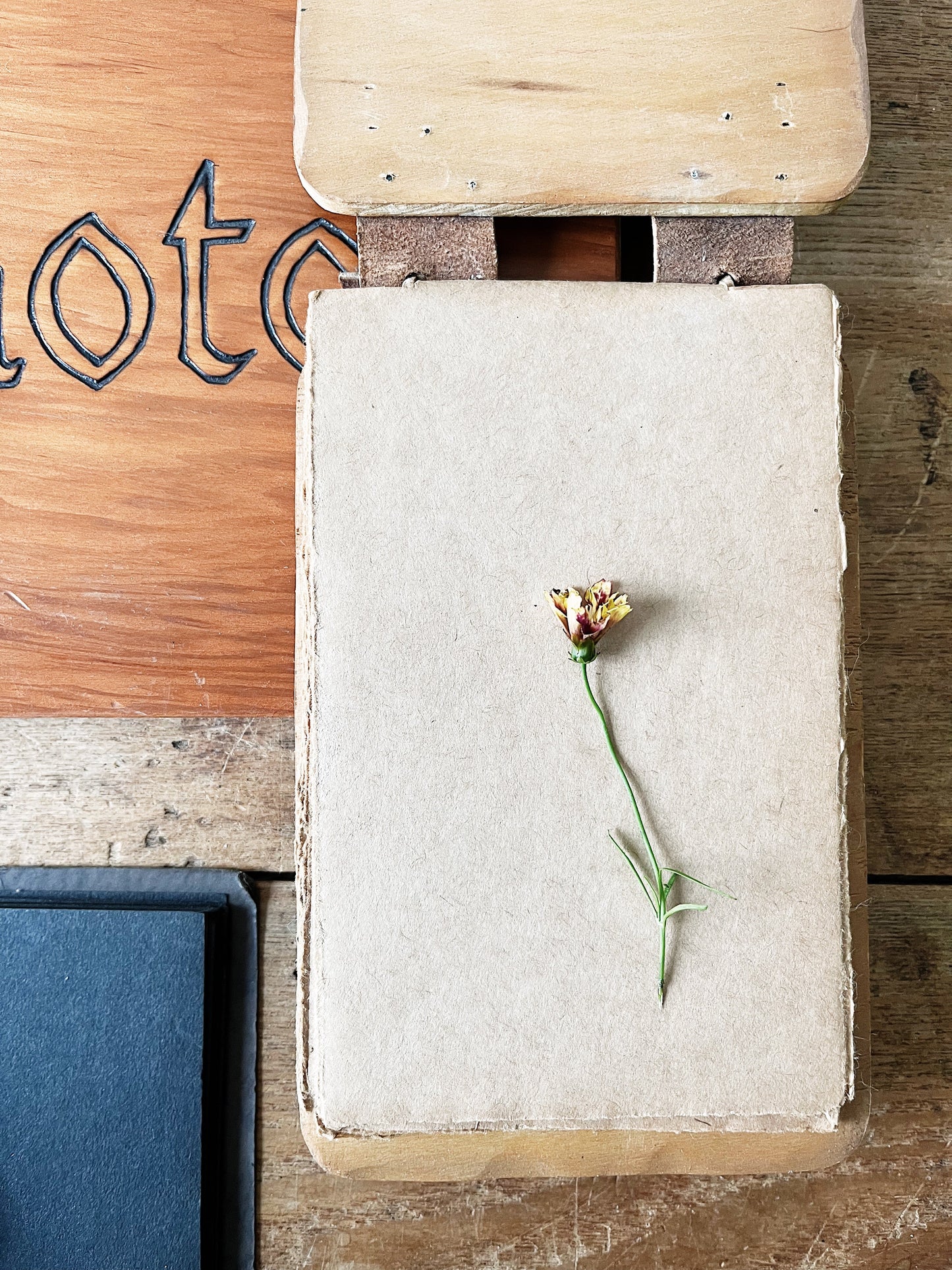 Vintage Photo Album