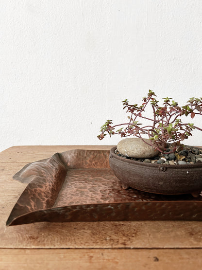 Vintage Hammered Copper Tray