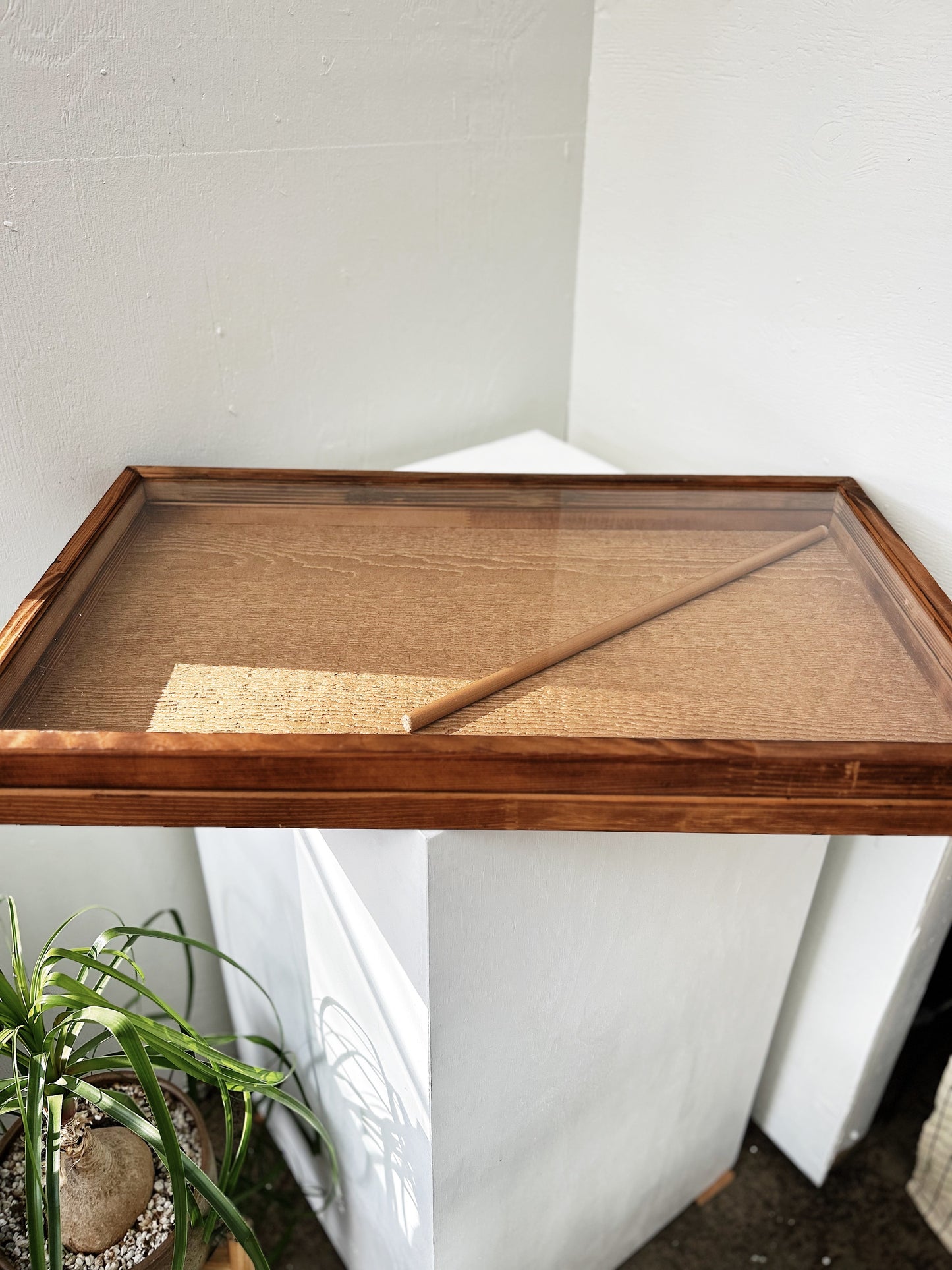 Vintage Display Case