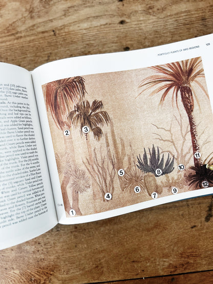 Vintage Drawing Book