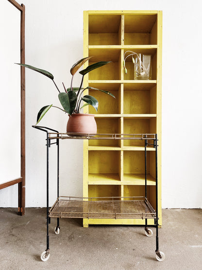 Vintage Mesh Cart