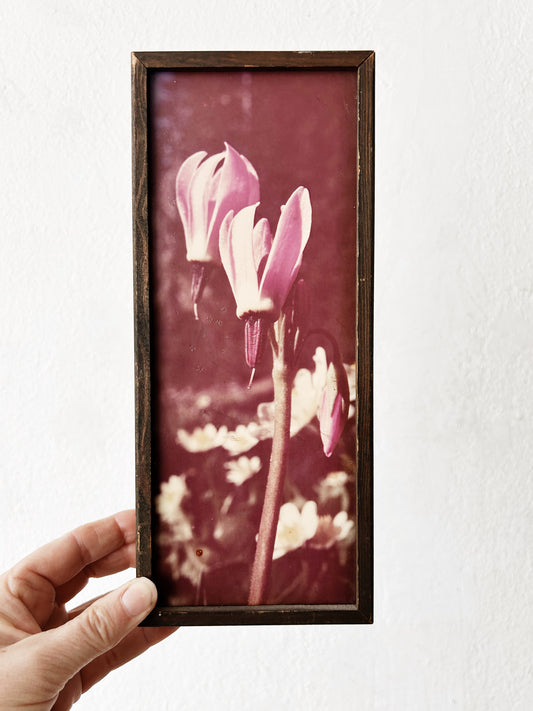 Vintage Box Framed Film Photograph