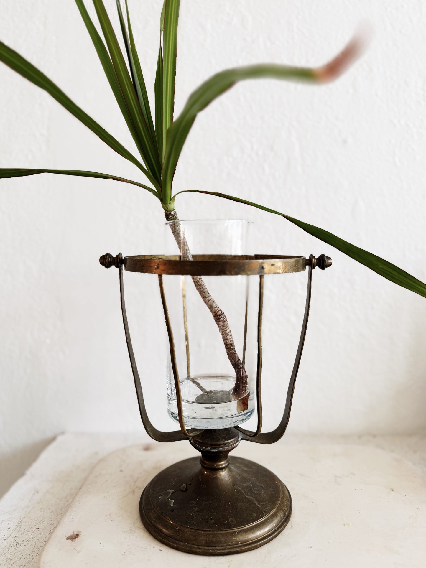 Antique Champagne Bucket Holder