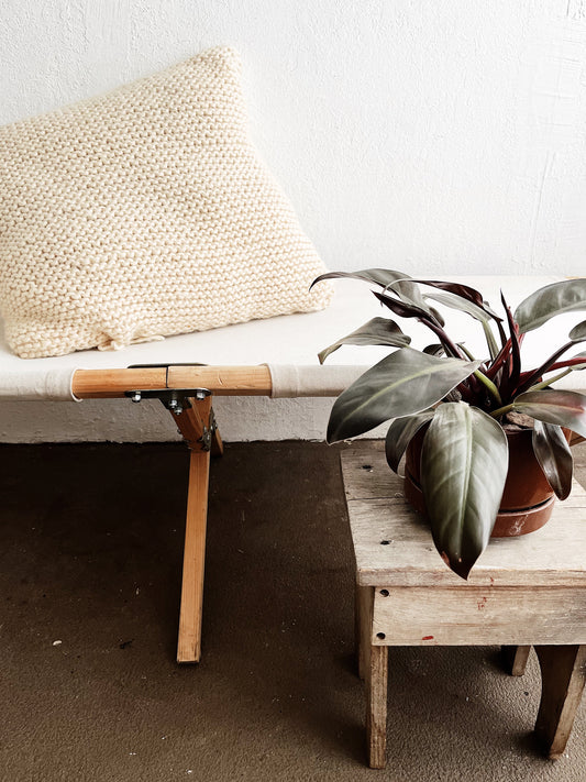 Vintage Canvas Cot