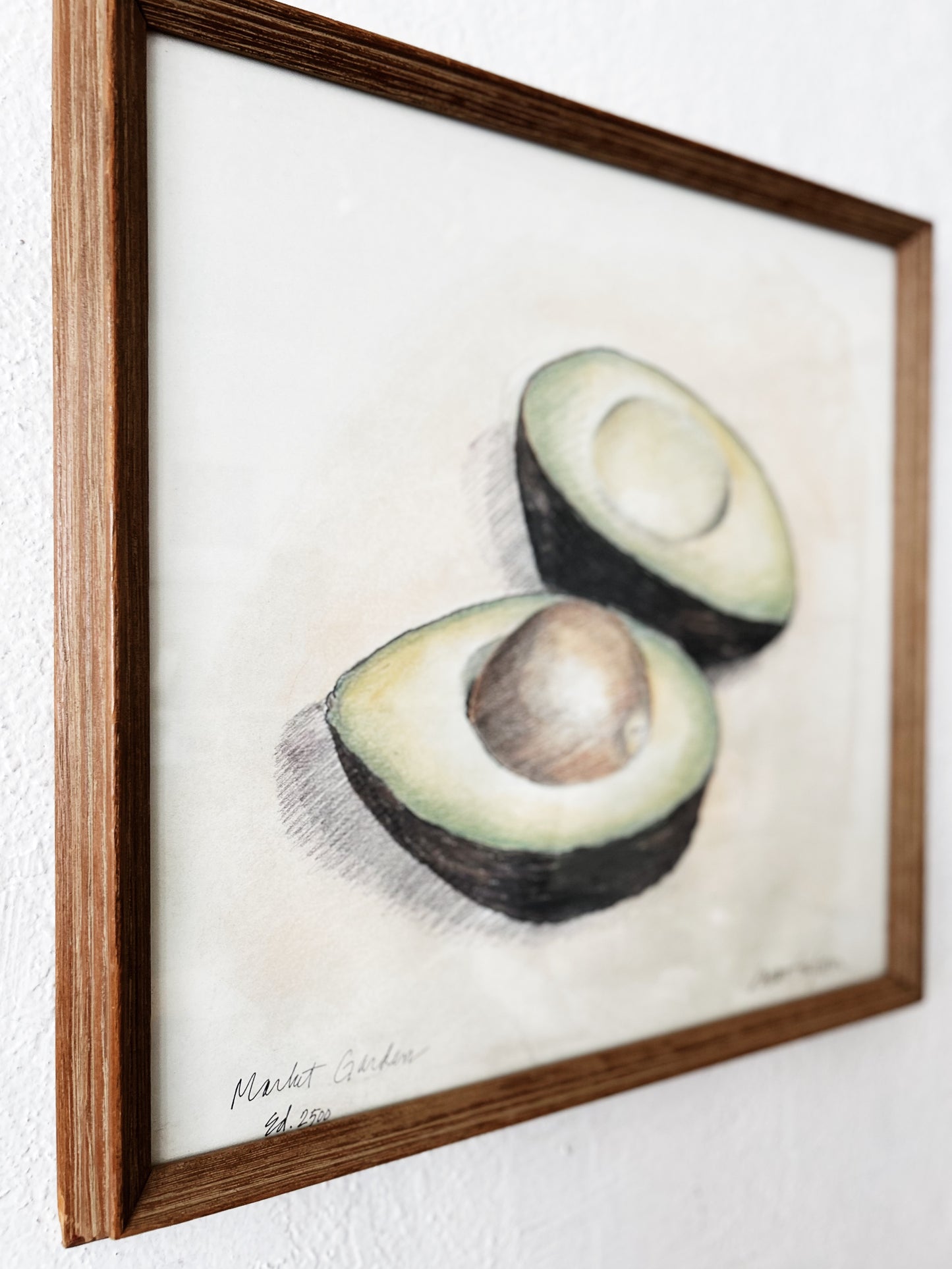 Original Susan Singleton Offset Lithograph