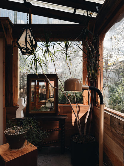 Vintage Fagerhults Cobra Floor Lamp