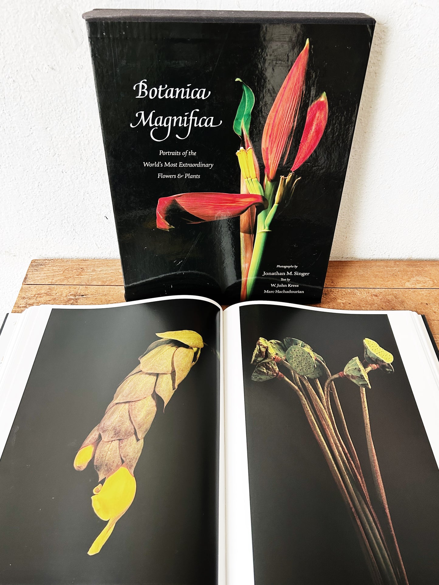 Botanica Magnifica Large Format Hard Cover Art Book