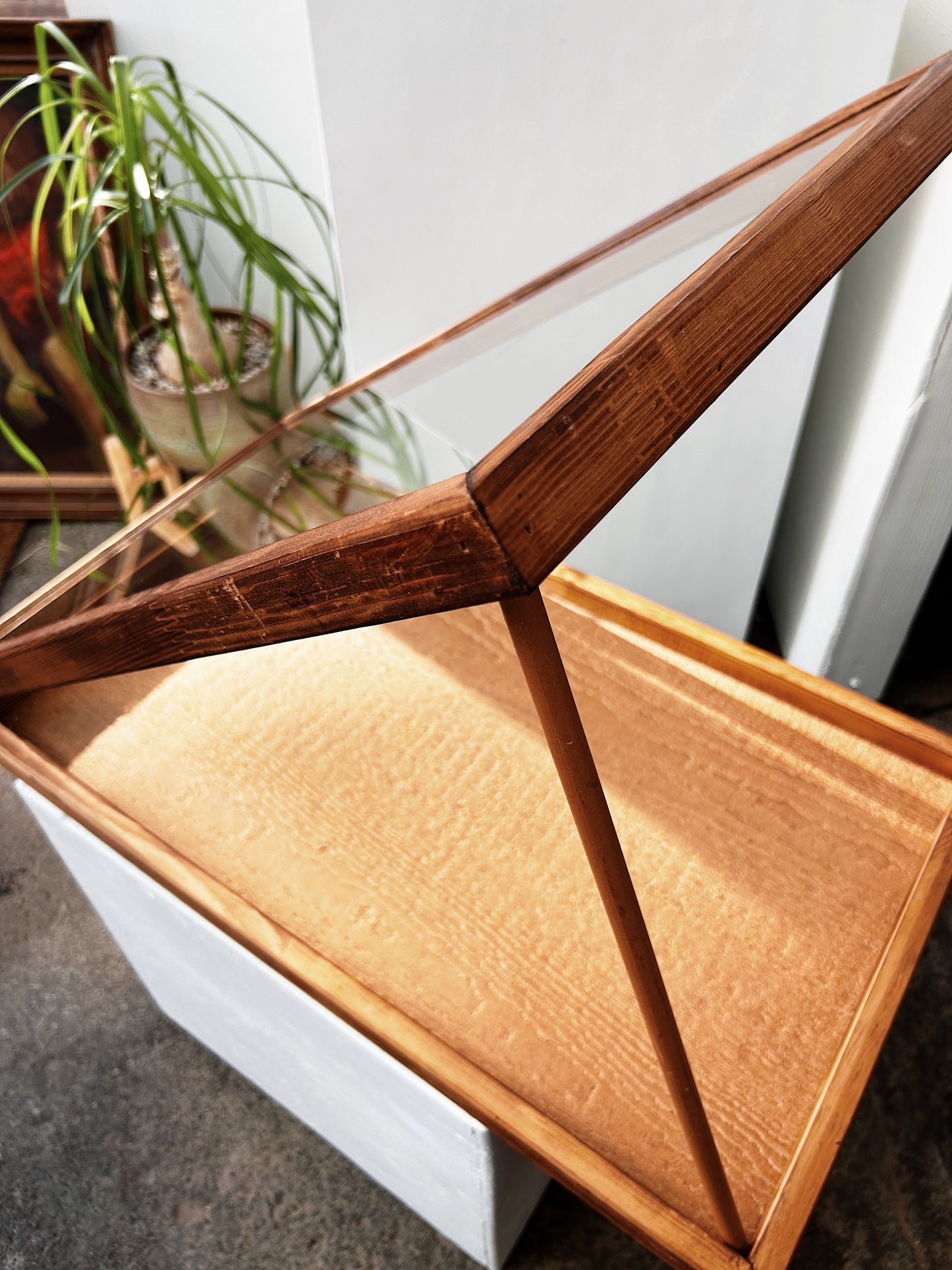 Vintage Display Case