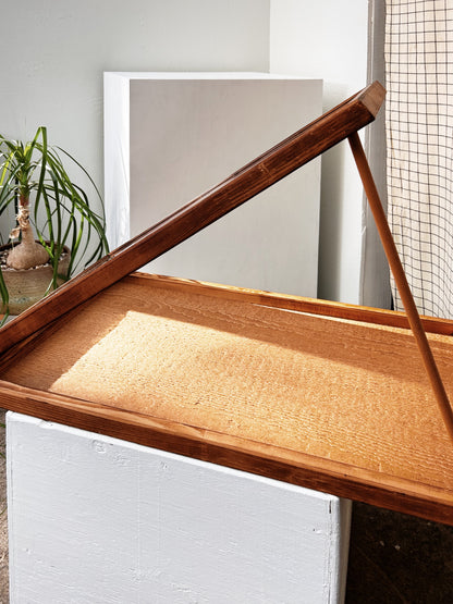 Vintage Display Case