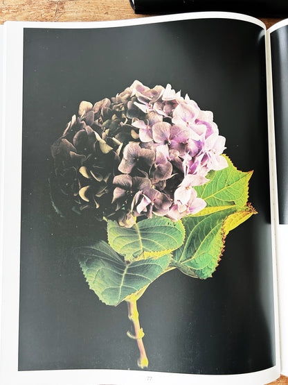 Botanica Magnifica Large Format Hard Cover Art Book