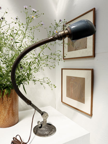 1930s Industrial  Gooseneck Lamp