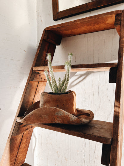 Fabulous Cowboy Hat Planter