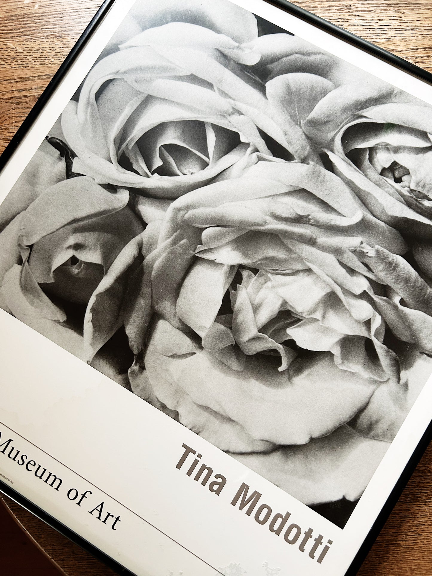 Vintage Tina Modotti Exhibit Print