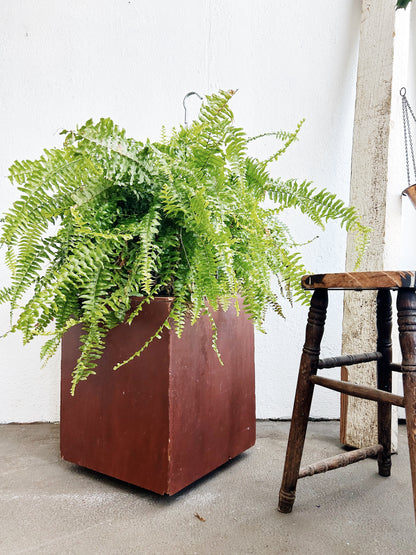 Vintage Lidded Wood Storage Cube on Wheels
