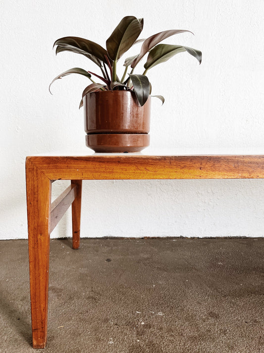 Handmade MCM Coffee Table or Bench