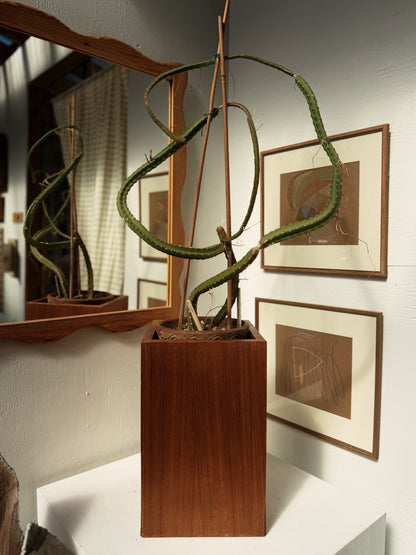 Vintage Teak Planter