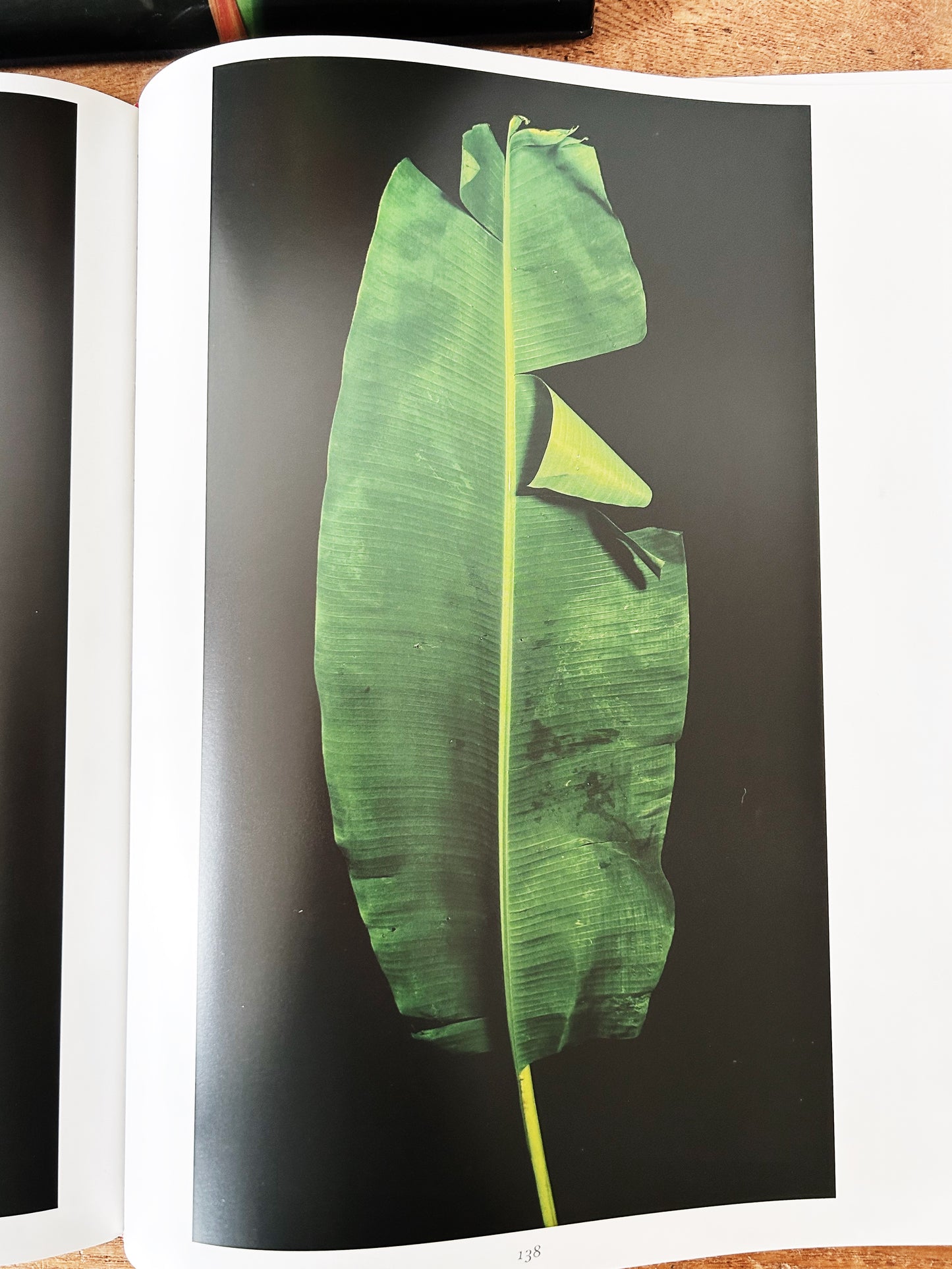 Botanica Magnifica Large Format Hard Cover Art Book