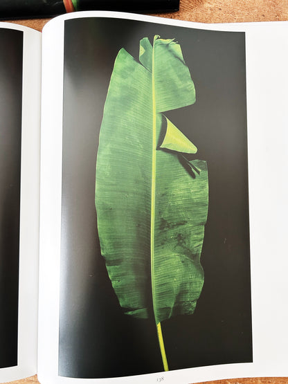 Botanica Magnifica Large Format Hard Cover Art Book