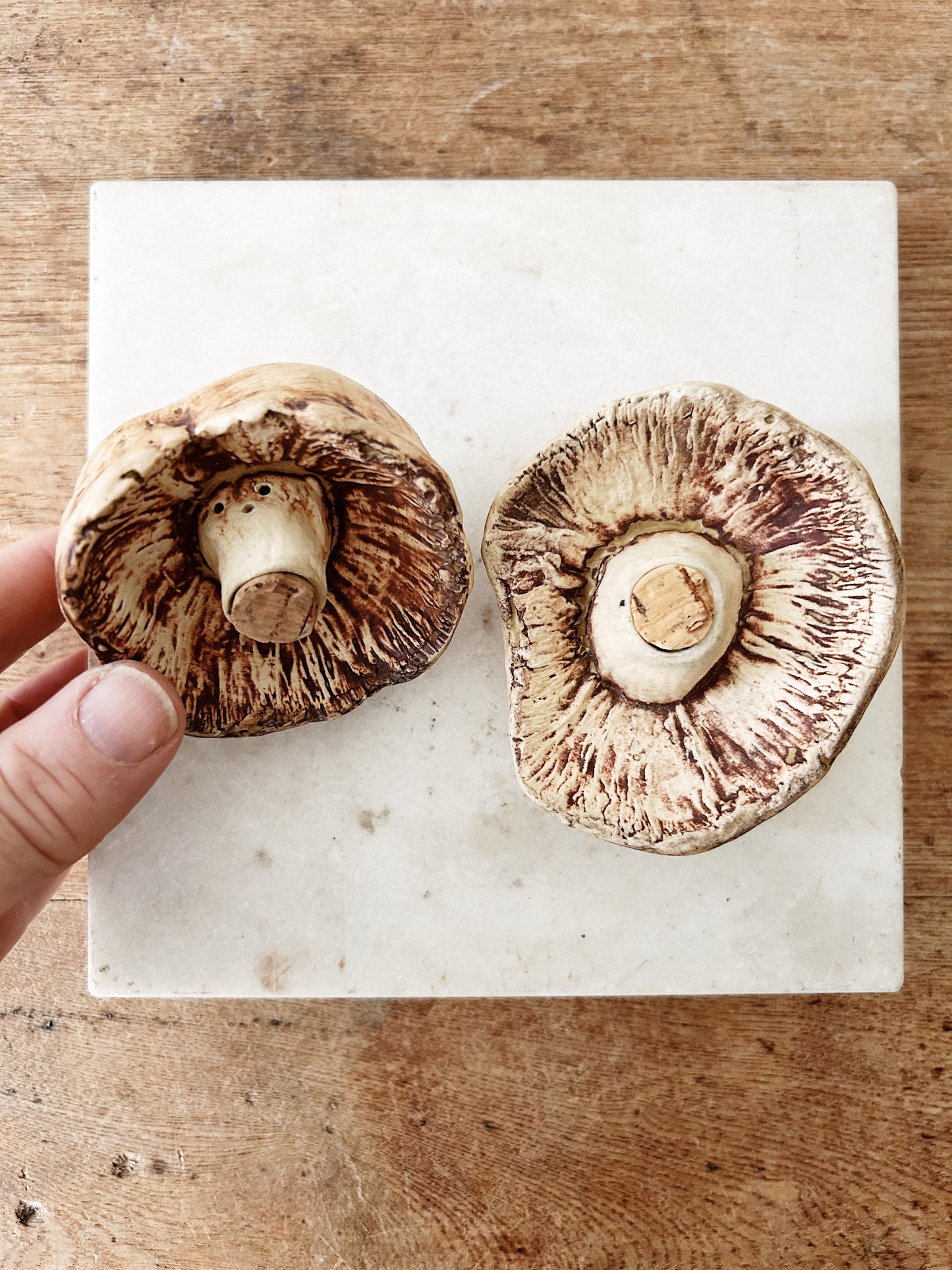 Ceramic Mushroom Salt and Pepper Shakers