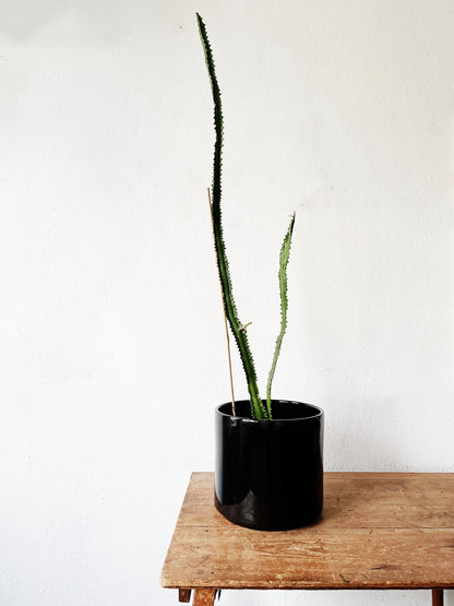 Vintage Gainey Ceramics Planter