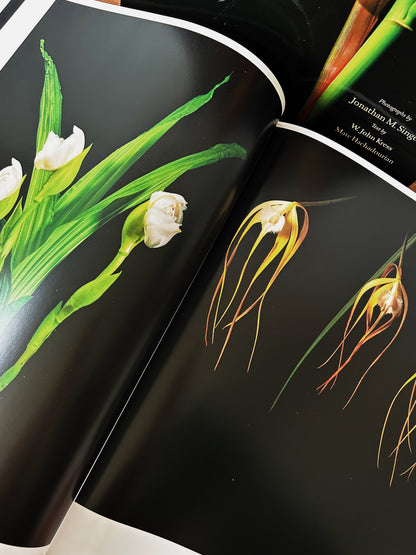 Botanica Magnifica Large Format Hard Cover Art Book