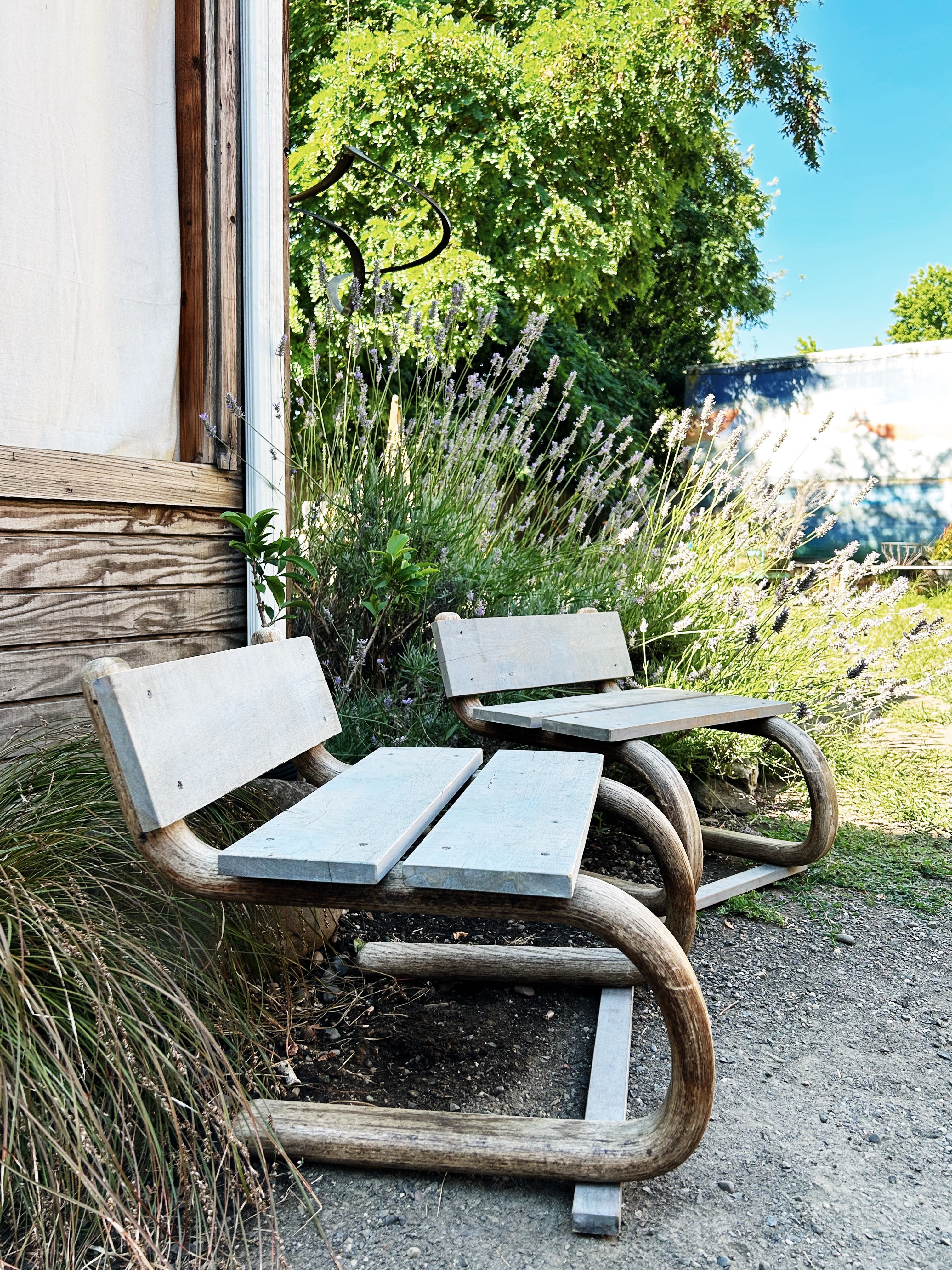 Vintage Bentwood Low Chairs - Thumbnail 2