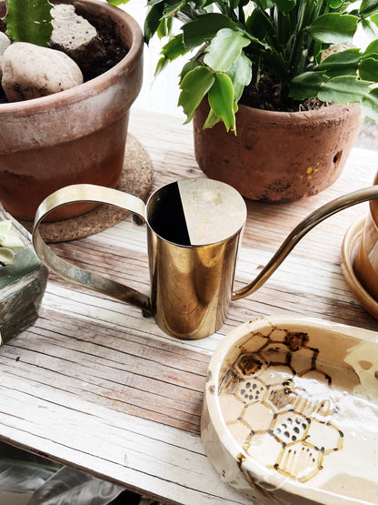 Vintage Brass Watering Can