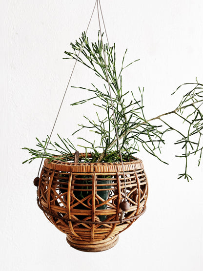 Vintage Hanging Planter