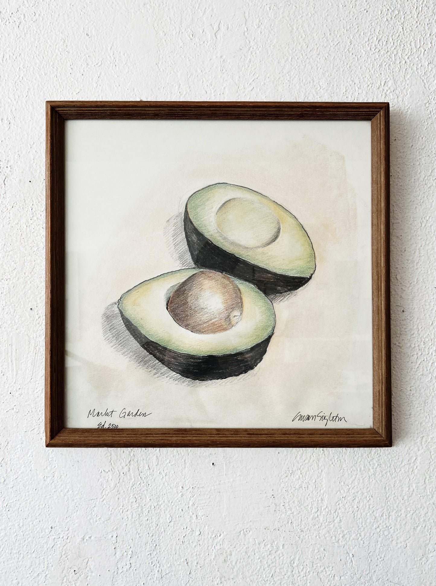 Original Susan Singleton Offset Lithograph