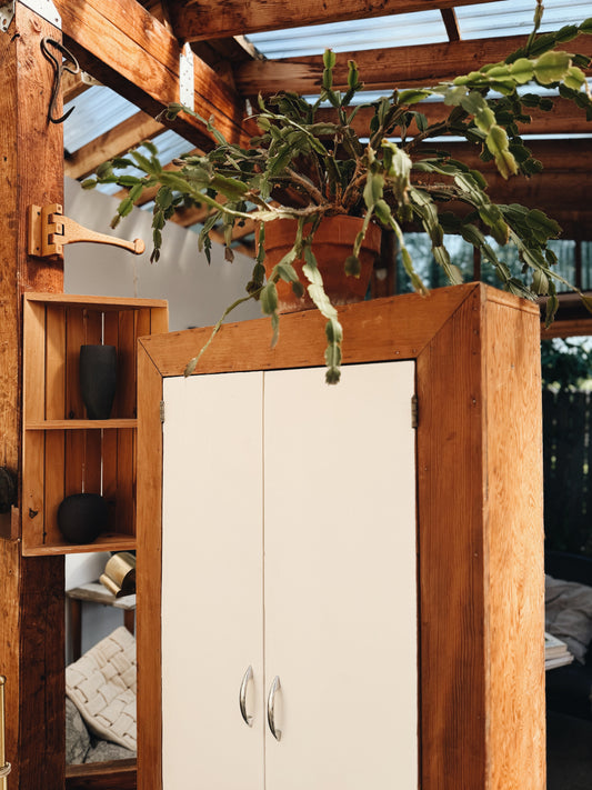 Vintage Handmade Canning Cabinet