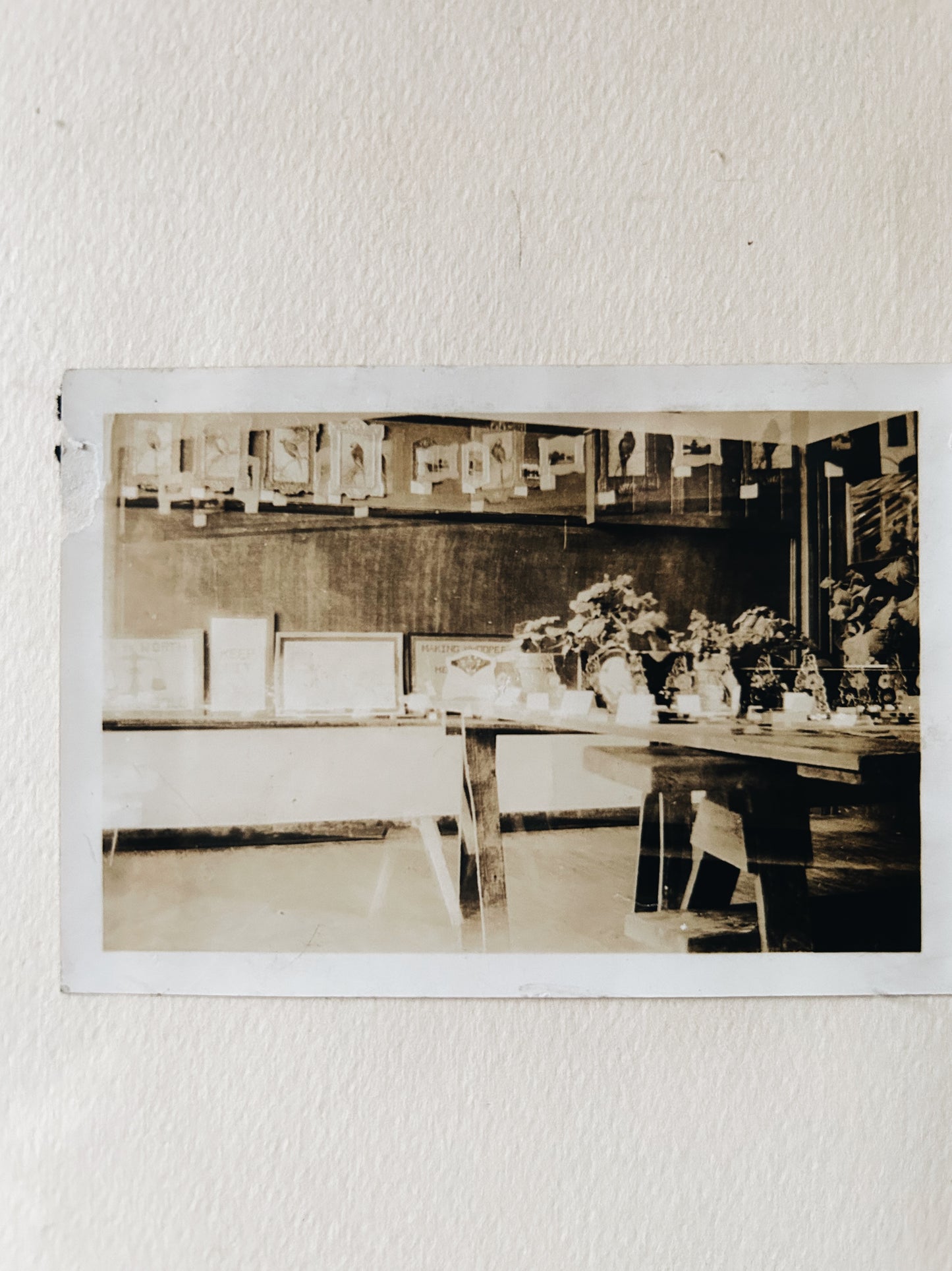 Framed Pair of Quirky Found Photos