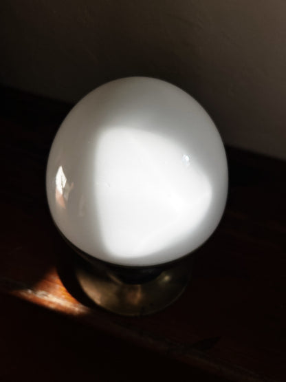 Contemporary Flush Mount Lamp