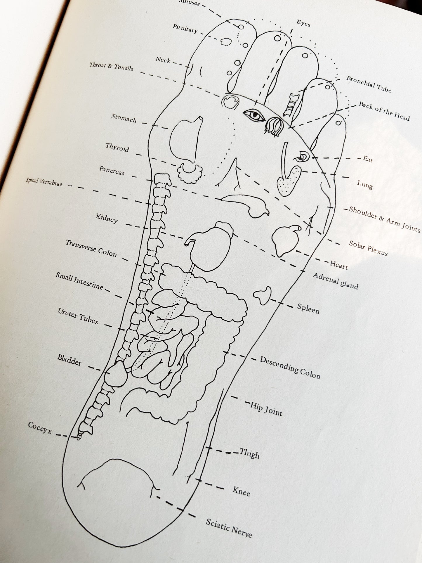 Vintage 1970s Massage Book