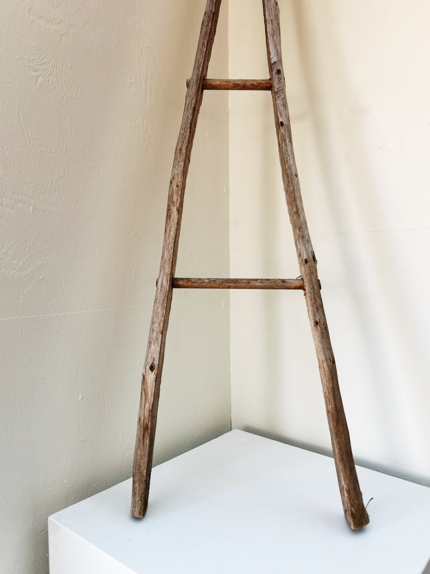 Primitive Wood Ladder