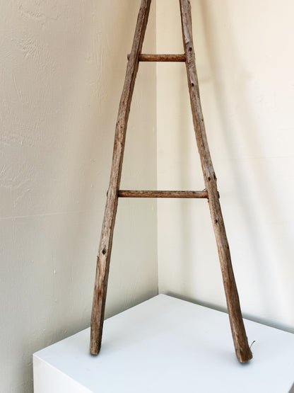 Primitive Wood Ladder