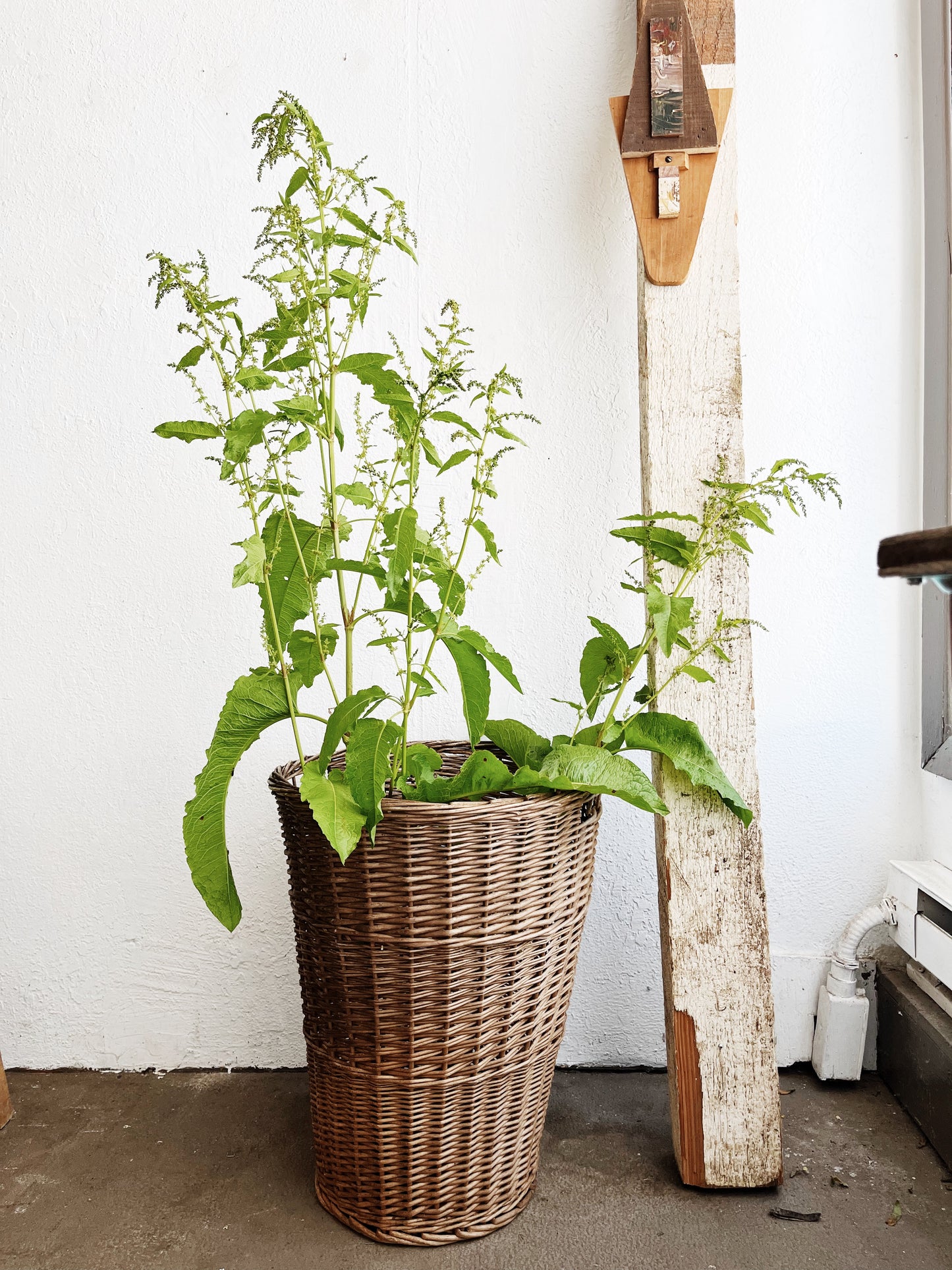Antique Tall Basket