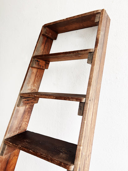 Antique Ladder Shelf