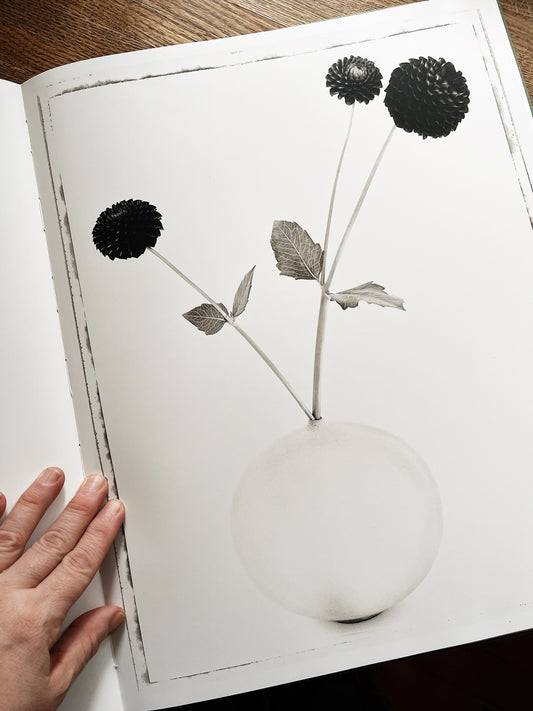 First Ed. Ops Opis Hardcover
