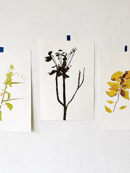 Original Botanical Watercolor