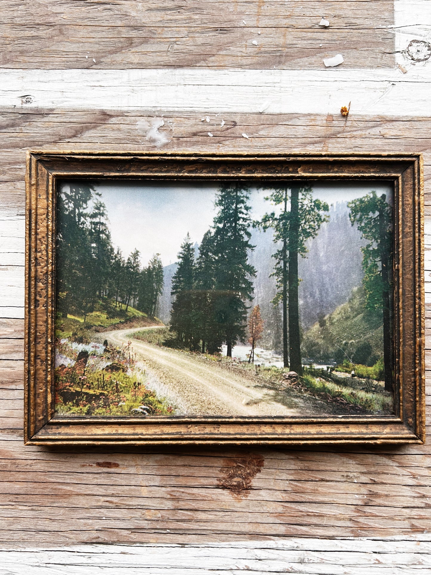 Antique Framed Forest Service Road Print